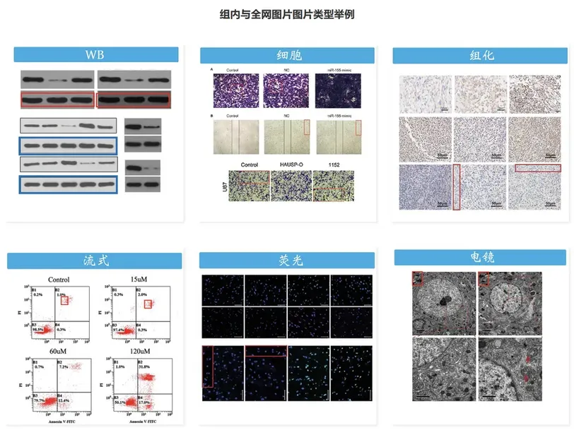 AI图片查重检测示意图