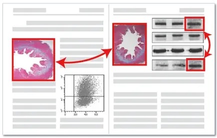 图片重复检测示例