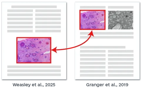 图片抄袭检测示例
